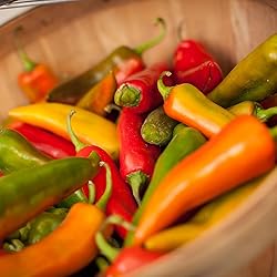 Back to the Roots 100% Organic Seed Packet - Pepper