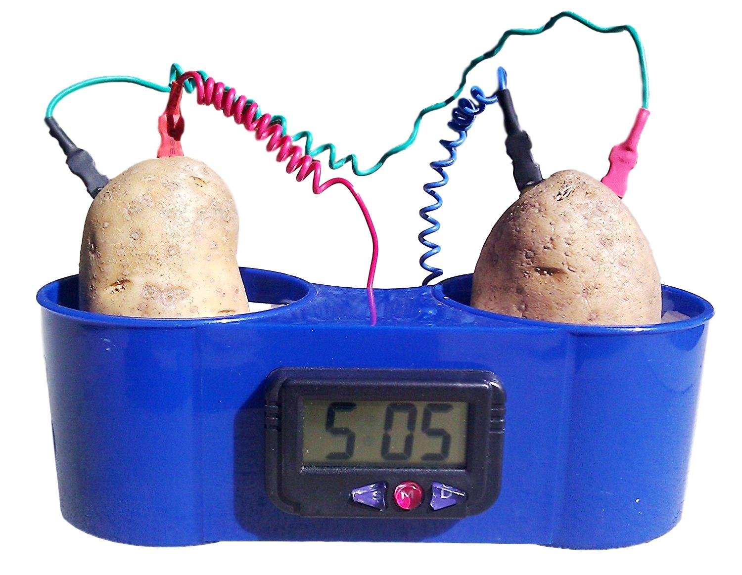 Часы на картошке. Часы potato. Игрушка эксперимент с картошкой. Электричество из картошки. Батарейка из картофеля.