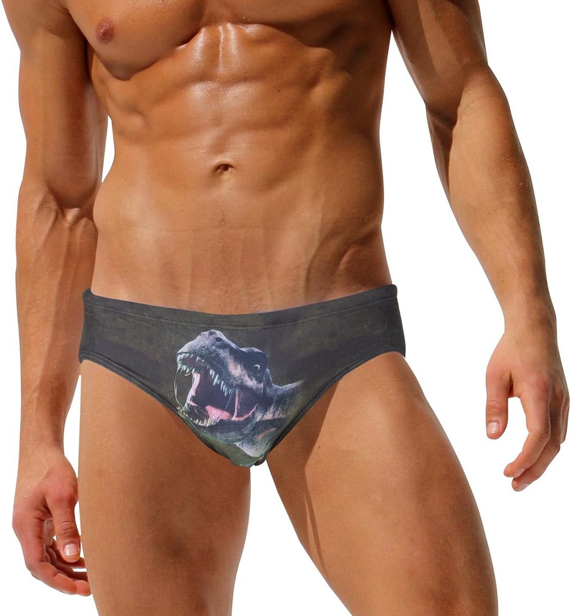 AustinBem Swimwear Men Dinosaur Print Swim Short Gay Men Swim Briefs (US Large/Tag XL (35”-39”))