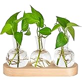Mkono Desktop Plant Propagation Glass Vase Station Retro Plant Terrarium with Wooden Tray Bulb Flower Vase Container Perfect for Propagating Hydroponic Plants Home Office Decor Plant Lover Gift Idea