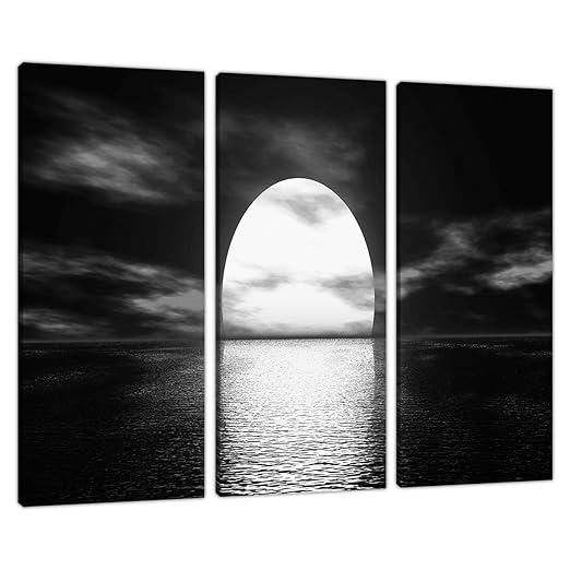Set of 3 Panel Black White Canvas Wall Art Pictures Large Prints 3003