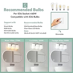 Honesorn Bathroom Light Fixtures Over