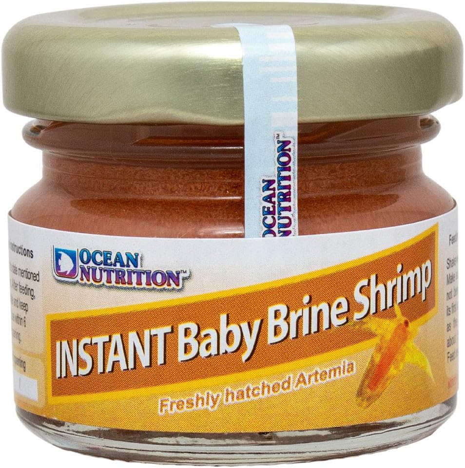instant baby brine shrimp petco