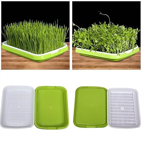 samen sprouter tray bpa frei baumschule tablett für sämlinge weizen grassierer pflanzer hydroponics samen keimung tablett für