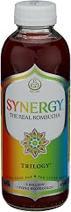 GTS Living Foods Trilogy Enlightened Kombucha, 16 FZ