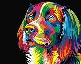 Kaieteur Painting by Numbers Kit 16x20inch DIY Canvas for Adults Kids view 1