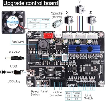 Cenoz  featured image 4