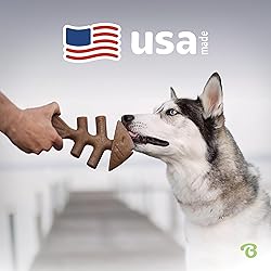 Benebone Fishbone Durable Dog Chew Toy for