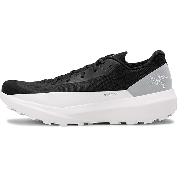 Amazon.com | Arc'teryx Aerios FL 2 GTX Shoe | Fast and Light