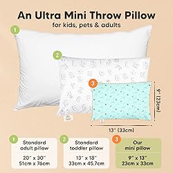 Mini Toddler Pillow with Pillowcase - 9x13 My