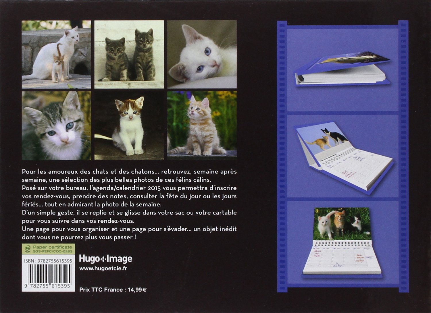 L Agenda Calendrier Chats Et Chatons 15 French Edition Collectif Amazon Com Books