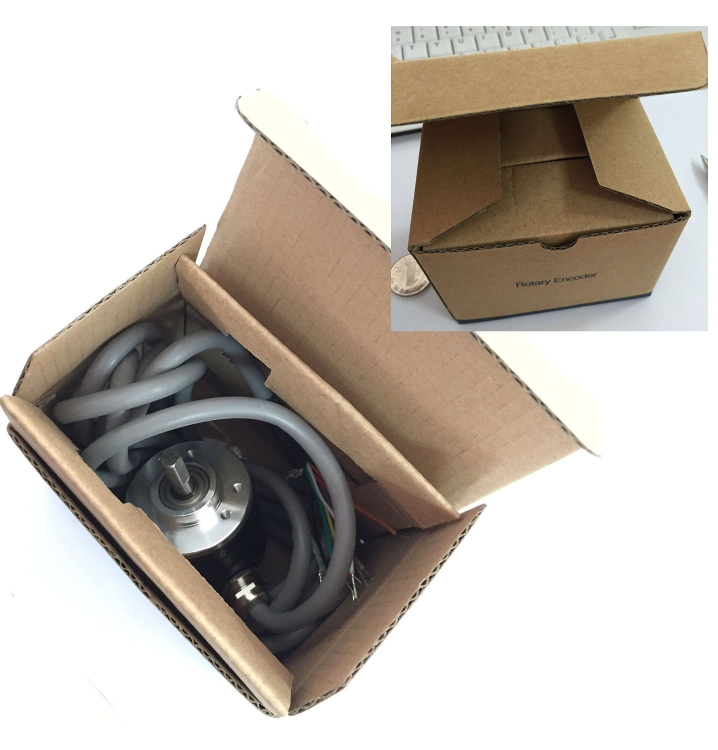 little people aquarium