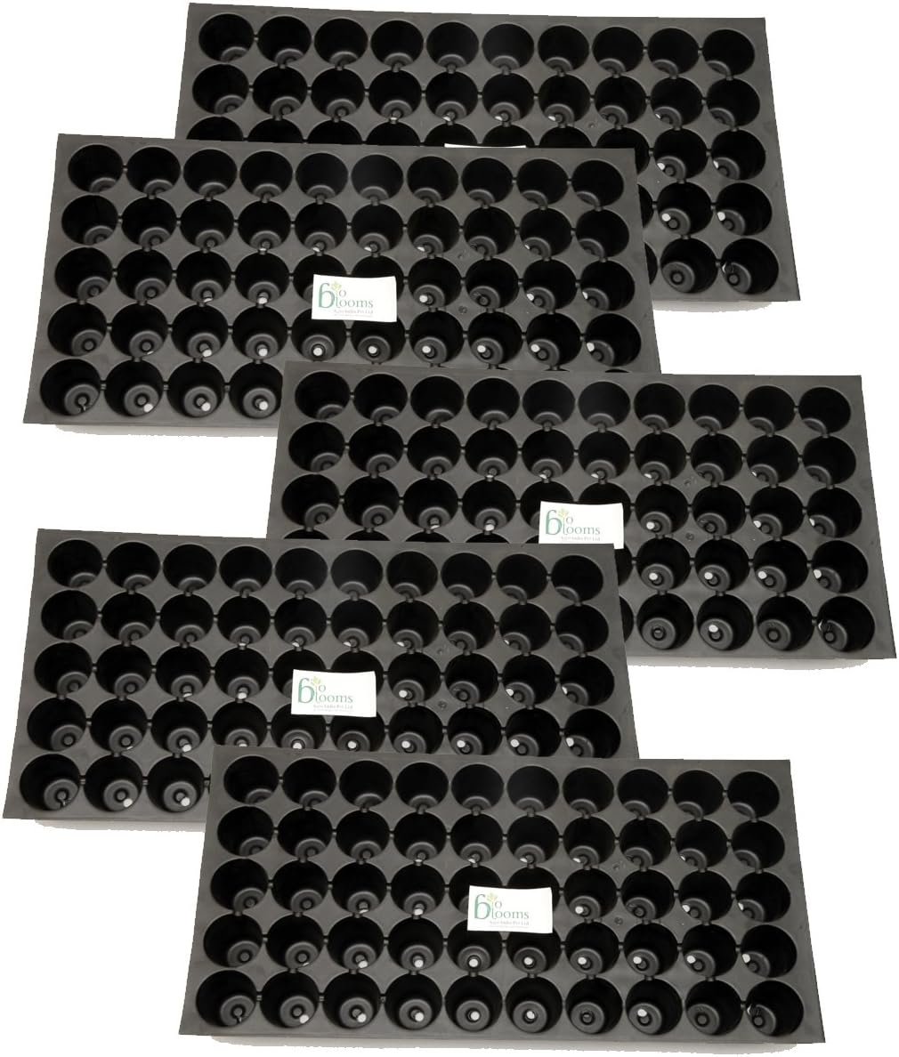 Bio Blooms Gardening Seedling Tray Protray 50 Cavity Holes Or Cells (Pack Of 5)Bio_34