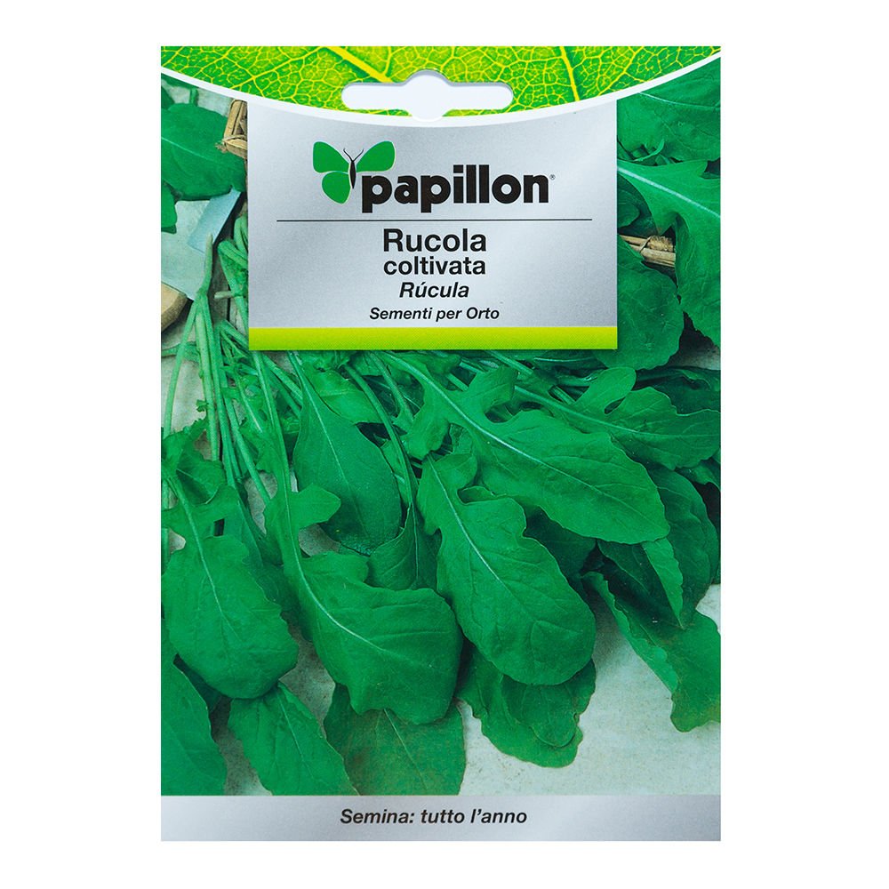 Semillas Rucula (9 Gramos): Amazon.es: Jardín