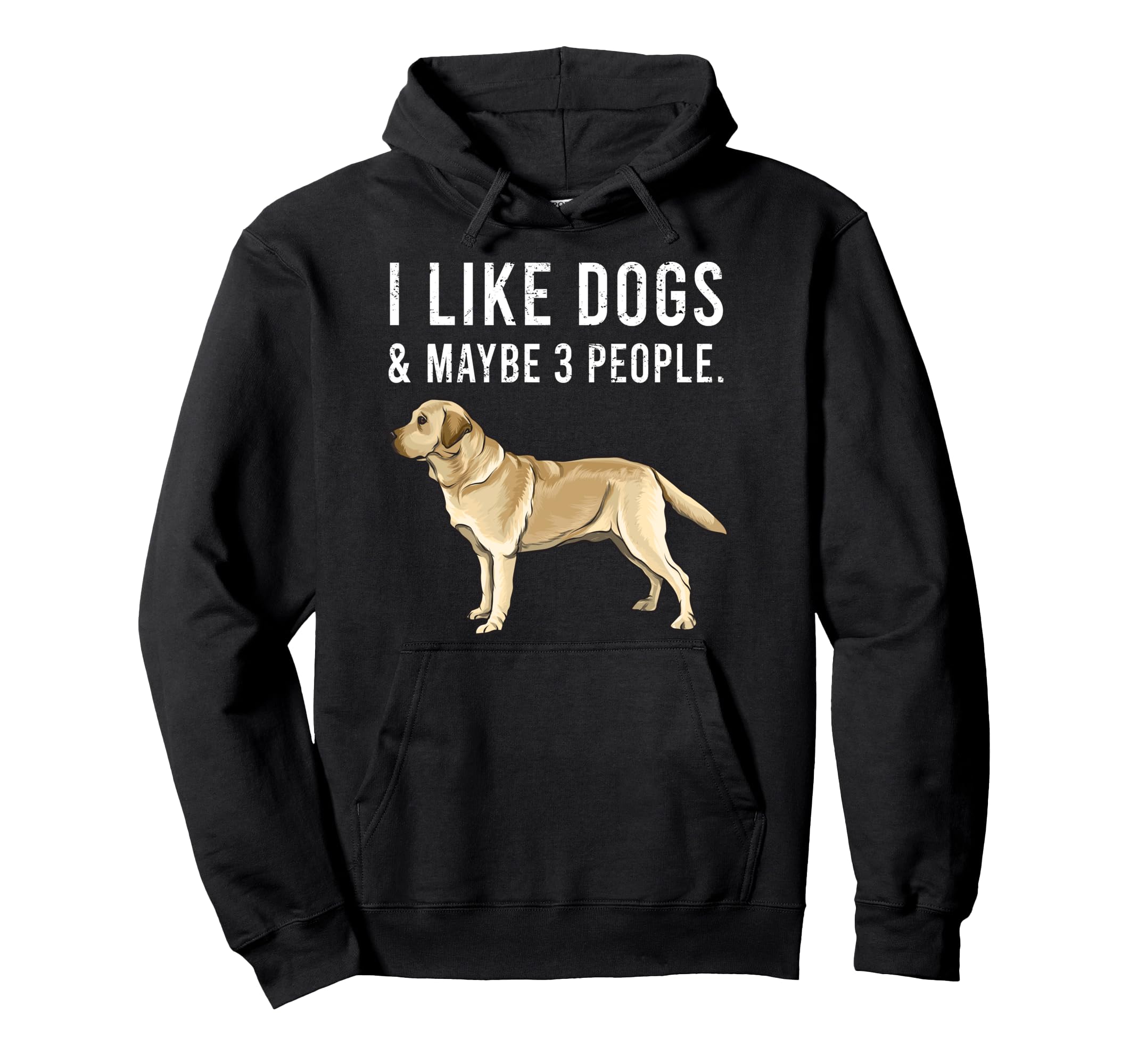 I Like Yellow Labrador Retriever Dogs And Maybe 3 People Pullover Hoodie