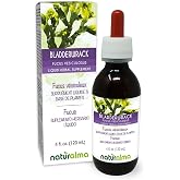 Naturalma Bladderwrack or Sea Oak (Fucus vesiculosus) Thallus (Seaweed) Alcohol-Free Tincture - 4 fl oz Liquid Extract in Drops - Herbal Supplement - Vegan