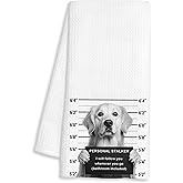 FTKBGHY Funny Golden Retriever Kitchen Towels, Golden Retriever Gifts for Women Men, Black and White Dog Mugshot Decorative Dish Hand Tea Towels for Bathroom Kitchen, 16x24 Inch