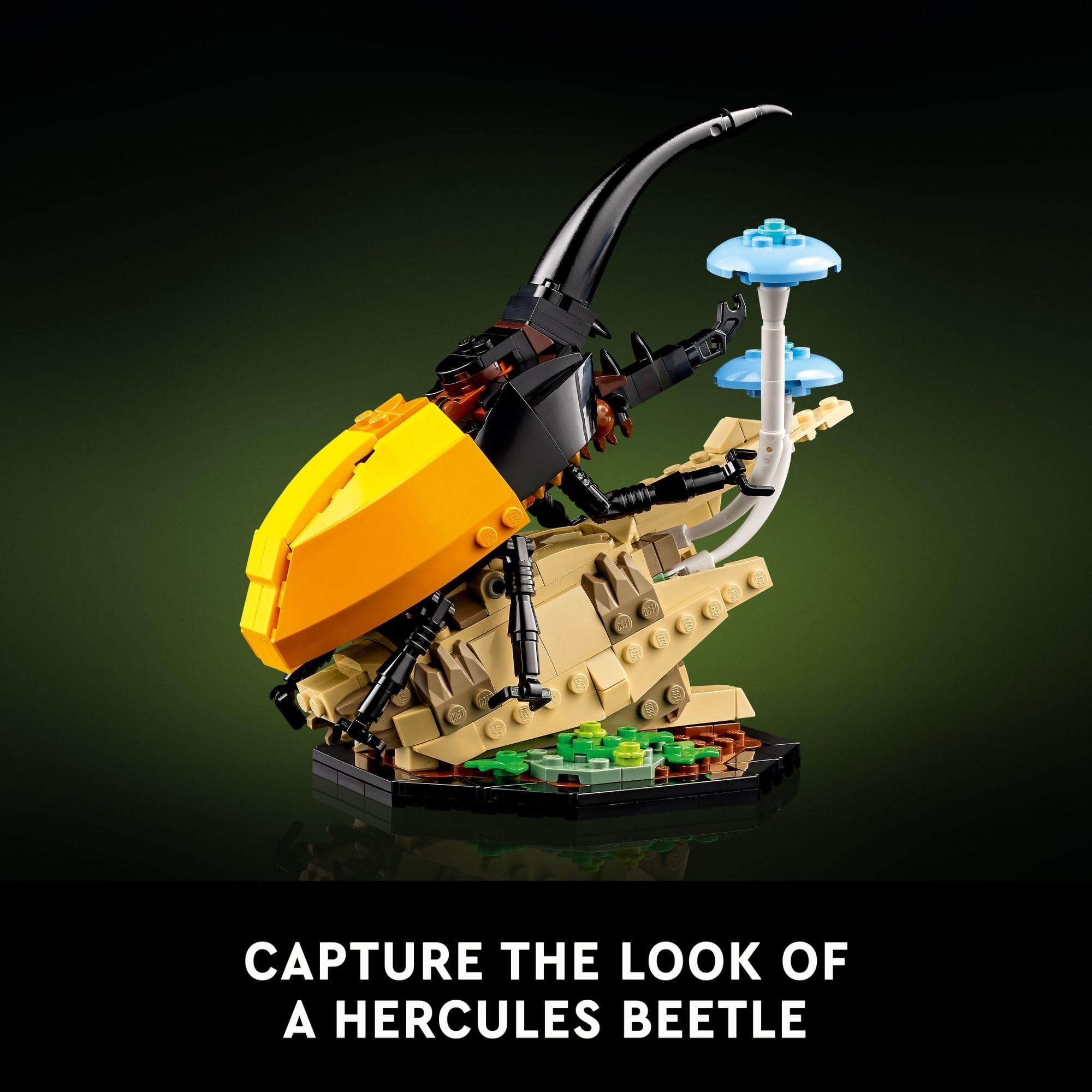 LEGO Ideas The Insect Collection, Fun Gift for Nature Lovers, with Life-Size Blue Morpho Butterfly, Hercules Beetle and Chinese Mantis Display Models, Bug Building Set and Nature Décor, 21342