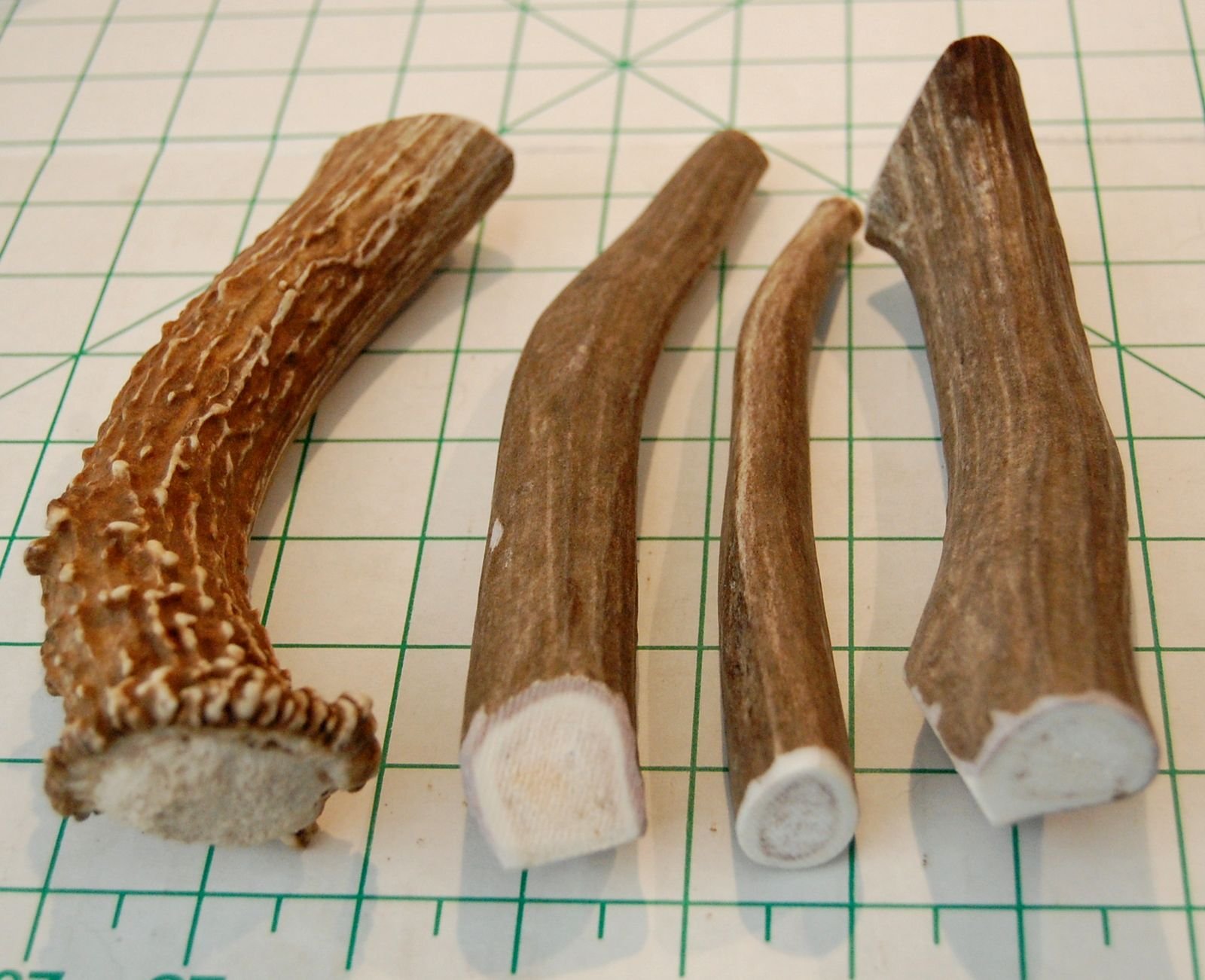 Premium Deer Antler Pieces by Big Dog Antler Chews Antlers by the
