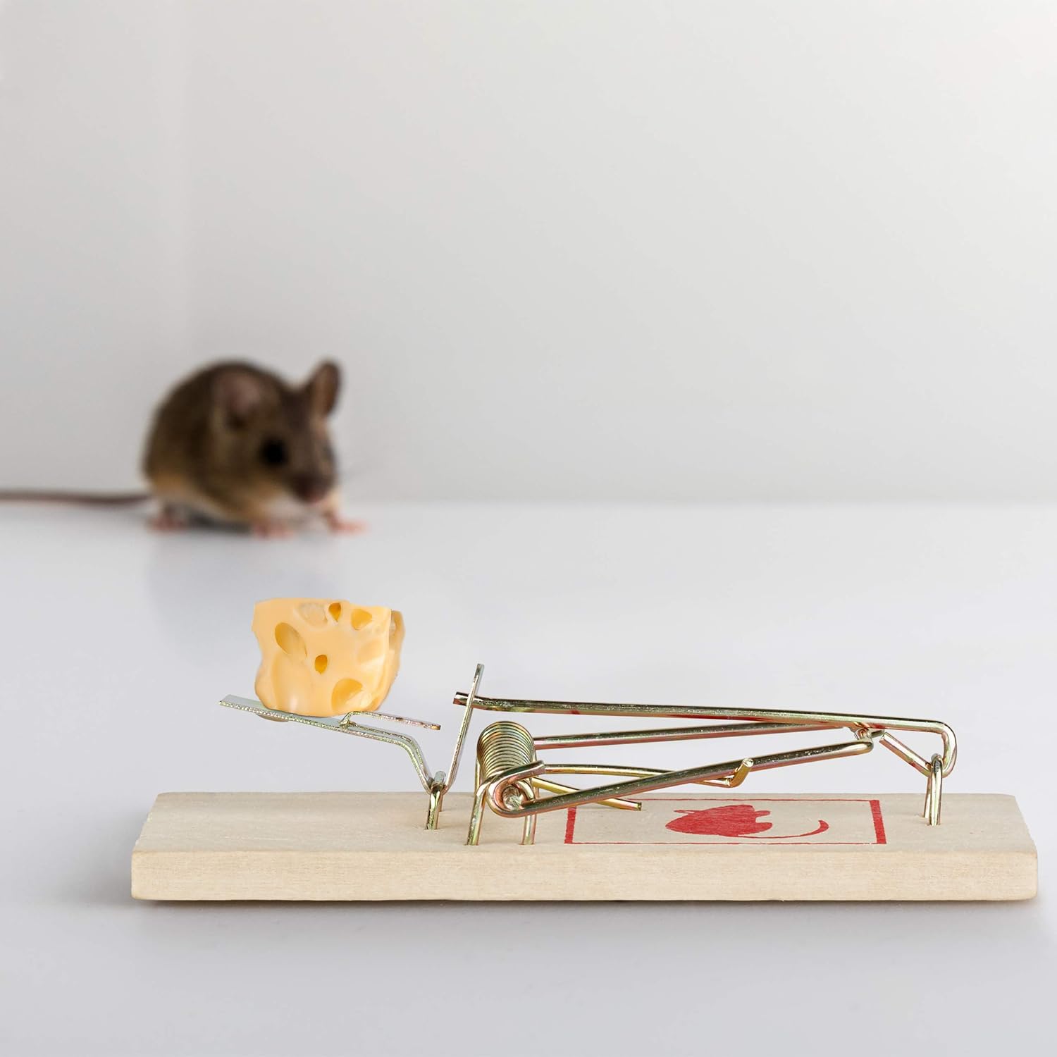 Relaxdays Set of 12 Mousetraps, Classic Mice Trap, Reusable, No Poison, Animal Trapping, Metal Hanger, Wooden, Natural - Image 3