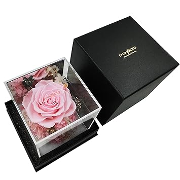 Buy Masoo Forever Rose Preserved Rose Eternal Rose Gifts For Women Wife Mom Room Decor Birthday Gifts Valentine Present Upscale Immortal Flower Pink Online At Low Prices In India Amazon In
