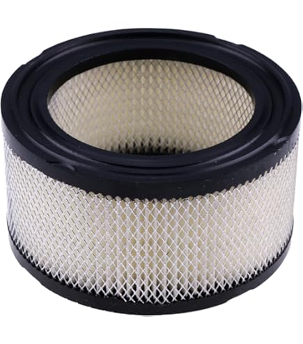 ❤︎ fun❤︎ Amazon.com: MOWFILL 2 Pack 231847 Air Filter With Pre Filter