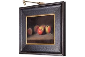 SITU ART LIGHTING Situ Lighting: Cordless and Rechargeable LED Art and Picture Light - Rechargeable Micro Series - 3000K - USA Made