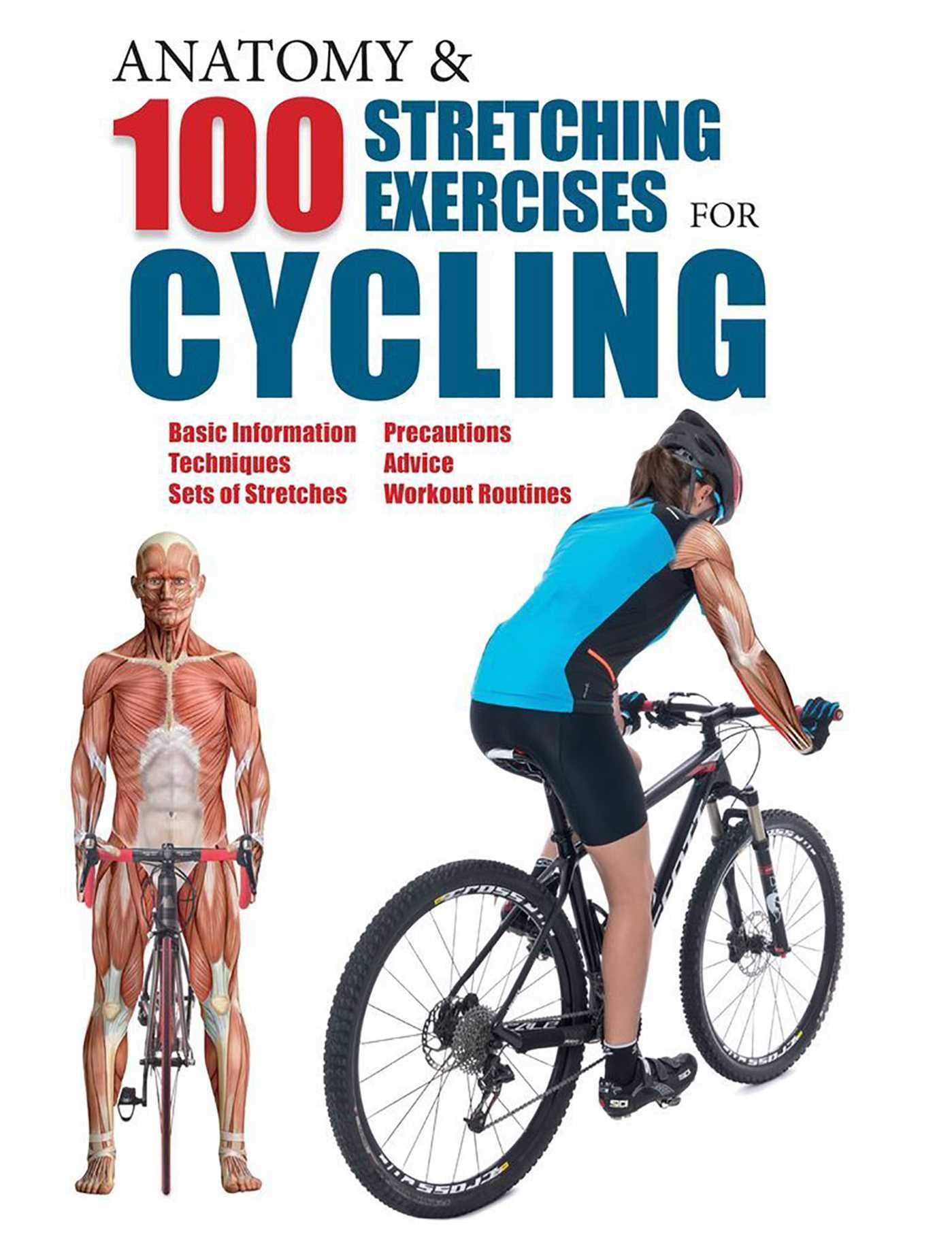 Cycle basic. Cycle basic