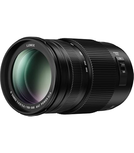 Amazon.com : PANASONIC LUMIX G VARIO LENS, 100-300MM, F4.0-5.6