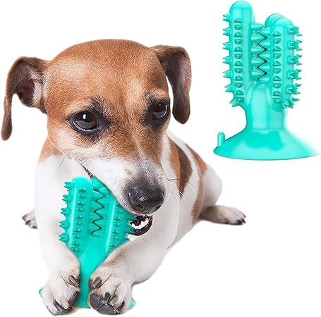amazon dog toothbrush