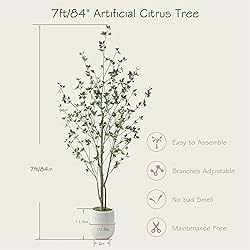 Bellacat 7ft Minimalist Artificial Citrus Tree with