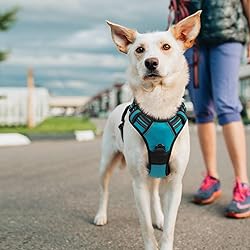 rabbitgoo Dog Harness No Pull with 2 Leash