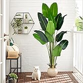 Artificial Bird of Paradise Plant 7Ft Fake Tropical Palm Tree with 17Trunks Faux Banana Leaf Trees in Pot for Home Indoor Outdoor Office Modern Decor Housewarming