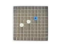 LUERFLEX Cardboard Cryogenic Vials Storage Box