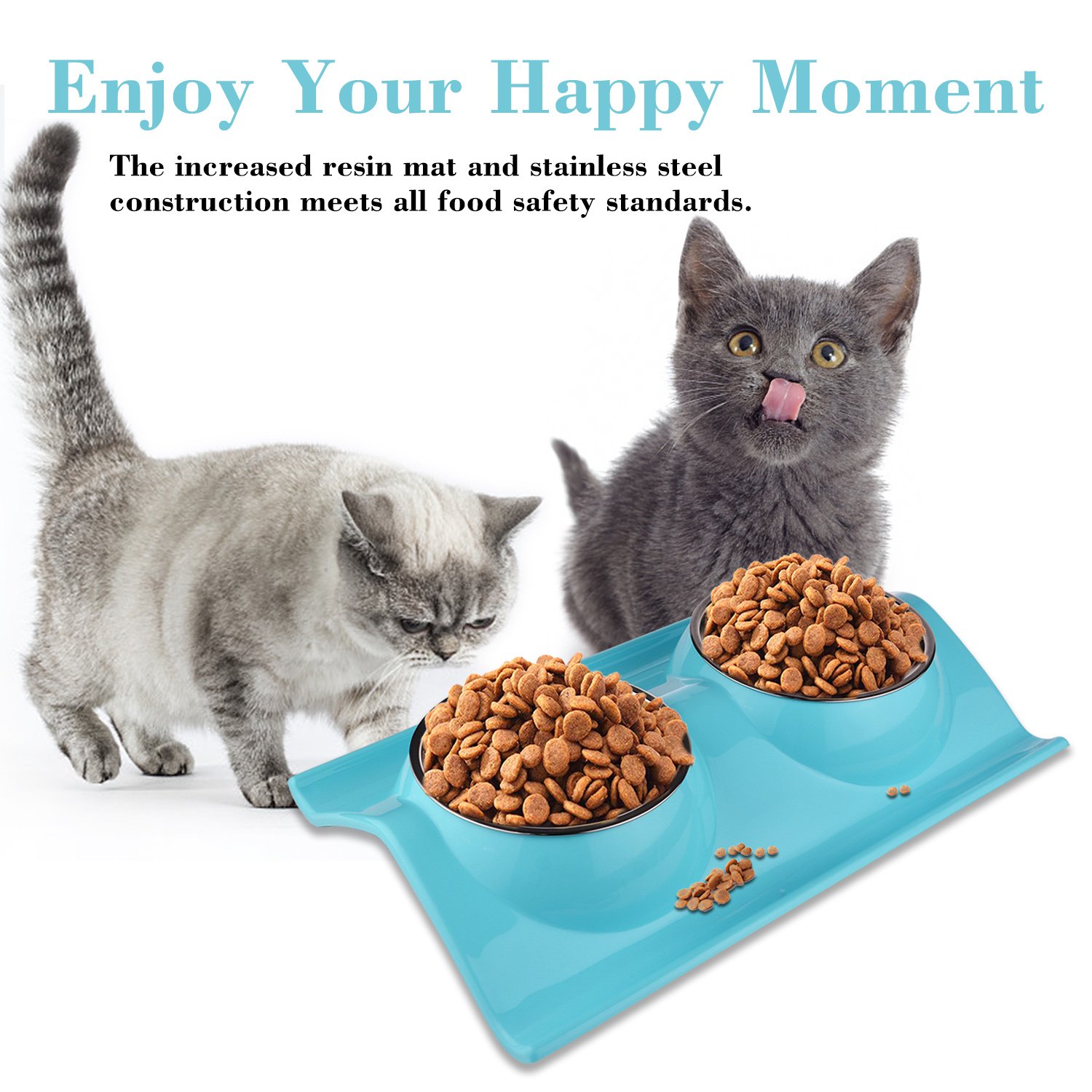 Double Dog Cat Puppy Bowls Stainless Steel Pet Bowls Pet Food Water Feeder with Non Spill Skid Resistant Base for Small Dogs and Cats (blue)