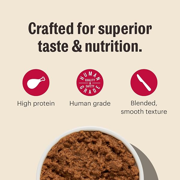 THE HONEST KITCHEN HUMAN GRADE CÂTÉ™ GRAIN FREE TURKEY PÂTÉ WET CAT FOOD, 2.8 OZ X12
