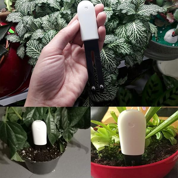 for HHCC Flora Pflanzen Clever 4 in 1 Smart Plant Luftfeuchtigkeit Helligkeit Dnger Temperaturmit Bluetooth und App Kontrolle