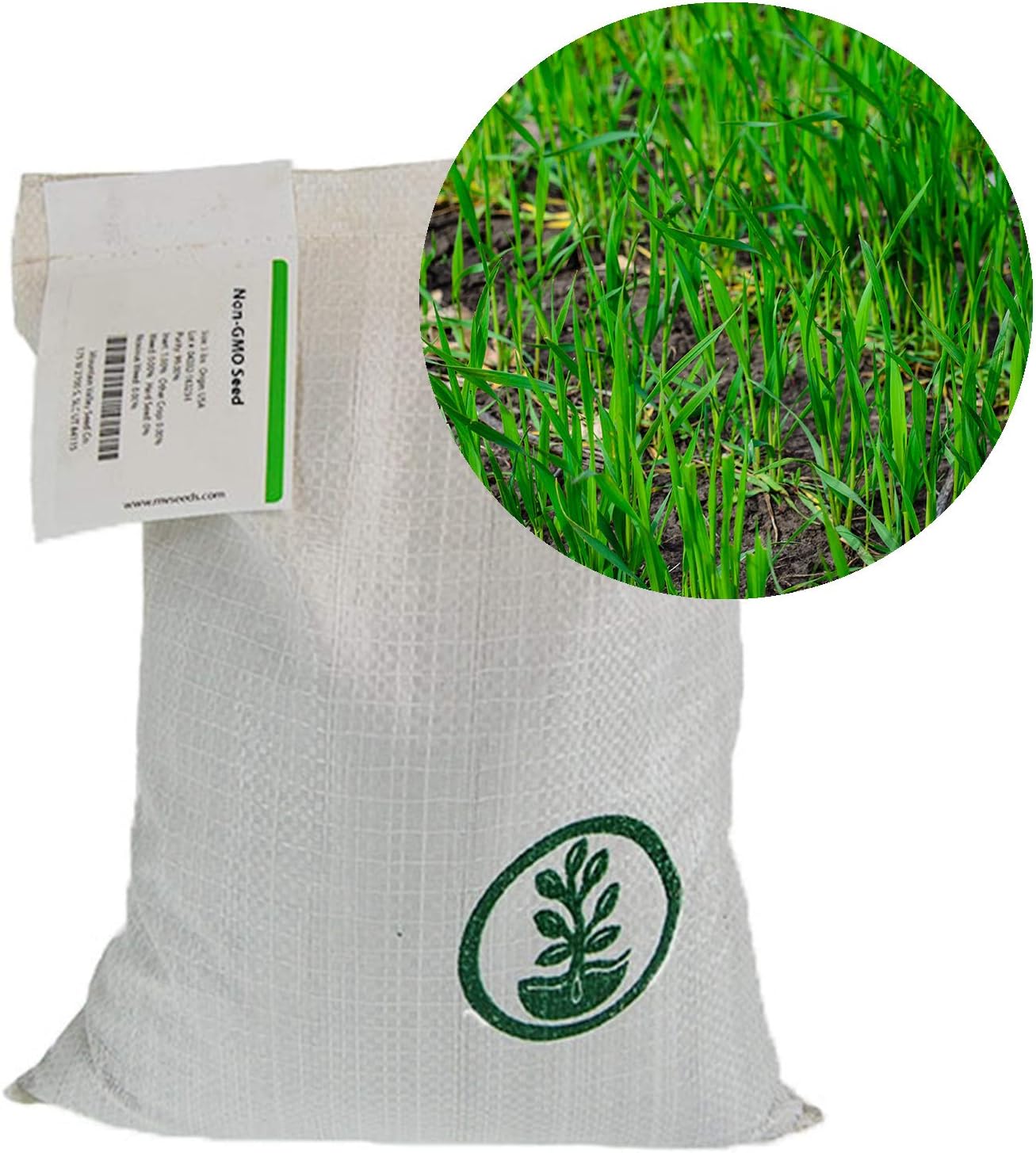 No-Till Winter Rye Seeds - 5 Lbs - Non-GMO Rye Grain Cover Crop Seeds by Mountain Valley Seed Company : Garden & Outdoor