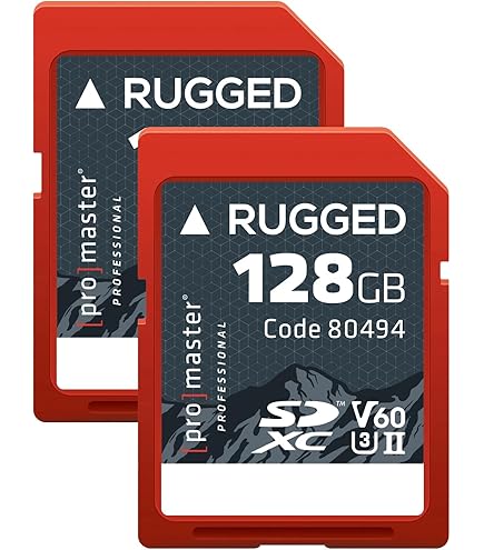 Amazon.com: ProMaster SDXC 128GB Rugged UHS-II V60 Memory Card