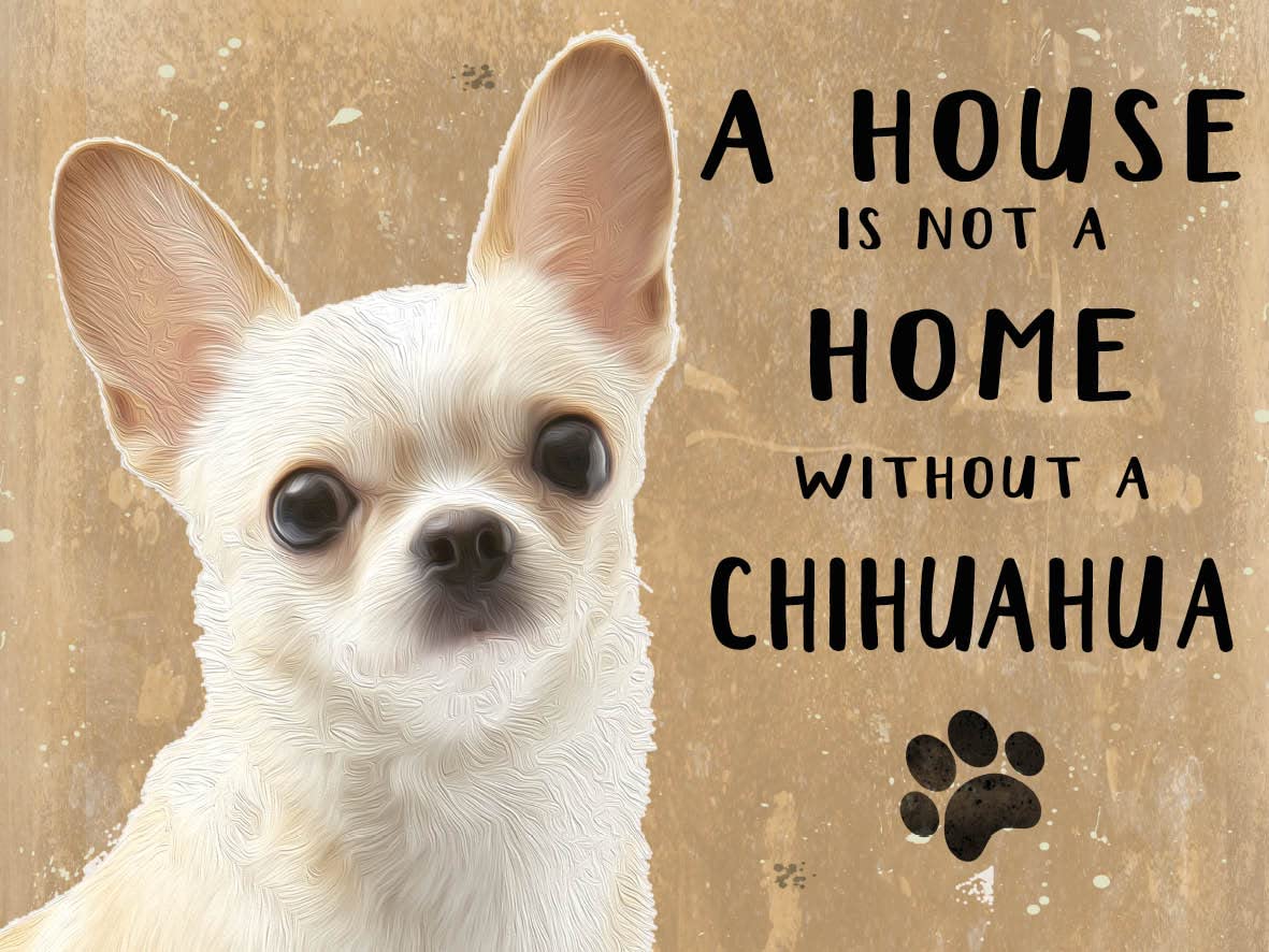 Small (150 x 200mm) Metal Sign - A House is Not a Home - Chihuahua