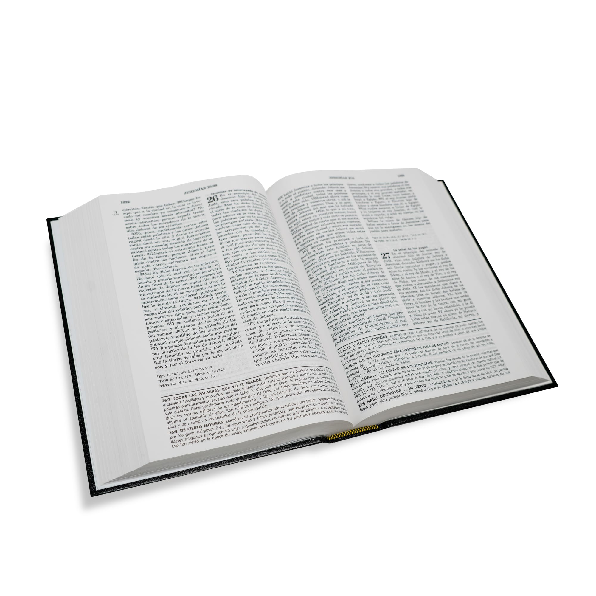 RVR60, Biblia de Estudio de la vida plena, Tapa Dura, Negro RVR60, Biblia de Estudio de la vida plena, Tapa Dura, Negro Hardcover Imitation Leather