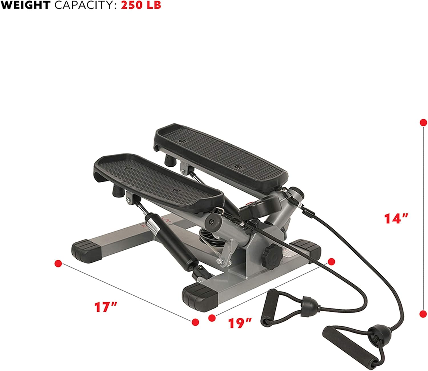 Sunny Health & Fitness Twist Stepper - NO. 045 : Step Machines : Sports & Outdoors