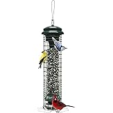 Brome Squirrel Solution 150 Squirrel-Proof Bird Feeder for Wild Birds – 4 Stainless Steel Perches, 2.6 lb Seed Capacity, Chew-Proof, Free Seed Funnel Included