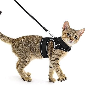 Amazon Rabbitgoo 猫用 猫 ハーネス 胴輪 猫用首輪 猫リード 足を上げず装着完成 サイズ調節可 夜反射 通気メッシュ 散歩 ソフト 軽量 抜けにくい 歩行補助 犬用 ネコ ねこ 子猫 超小型犬 小型犬 ネコ用 ハーネス リード セット黒 Rabbitgoo ラビットグー ペット用品 Amazon Rabbitgoo 猫用 猫 ハーネス 胴輪 猫用首輪 猫リード 足を上げず装着完成 サイズ調節可 夜反射 通気メッシュ 散歩 ソフト 軽量 抜けにくい 歩行補助 犬用 ネコ ねこ 子猫 超小型犬 小型犬 ネコ用 ハーネス リード セット黒 Rabbitgoo ラビットグー ペット用品