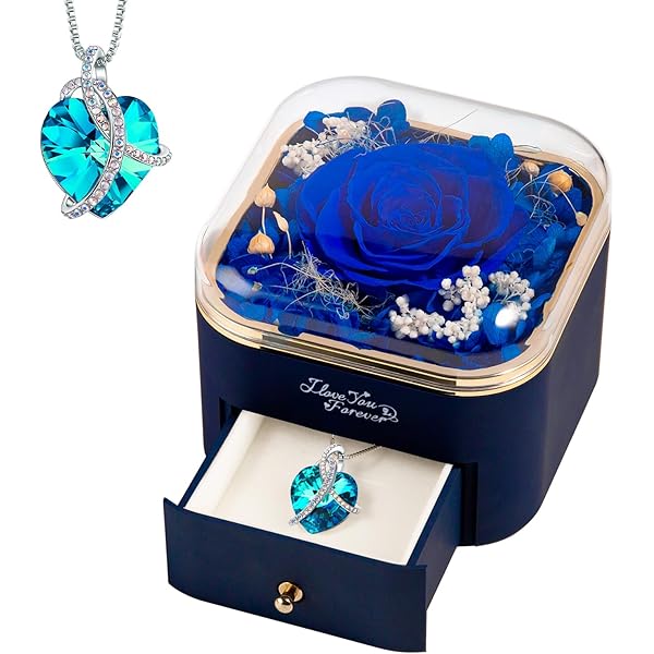 Amazon.com: minstely Preserved Rose Gift Box with Necklace