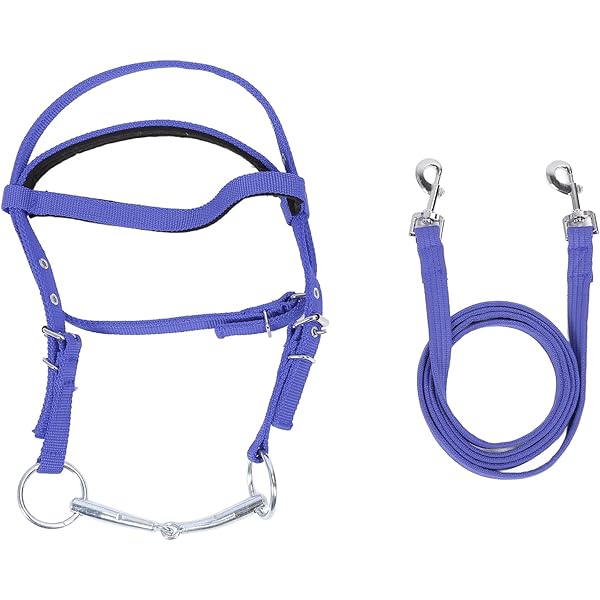 Exion English Jumping Bridle - Anatomical Padded Crownpiece With Flash Noseband & Rubber Reins - Vegetable-Tanned Leather