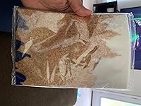 Review Image by Amazon Customer