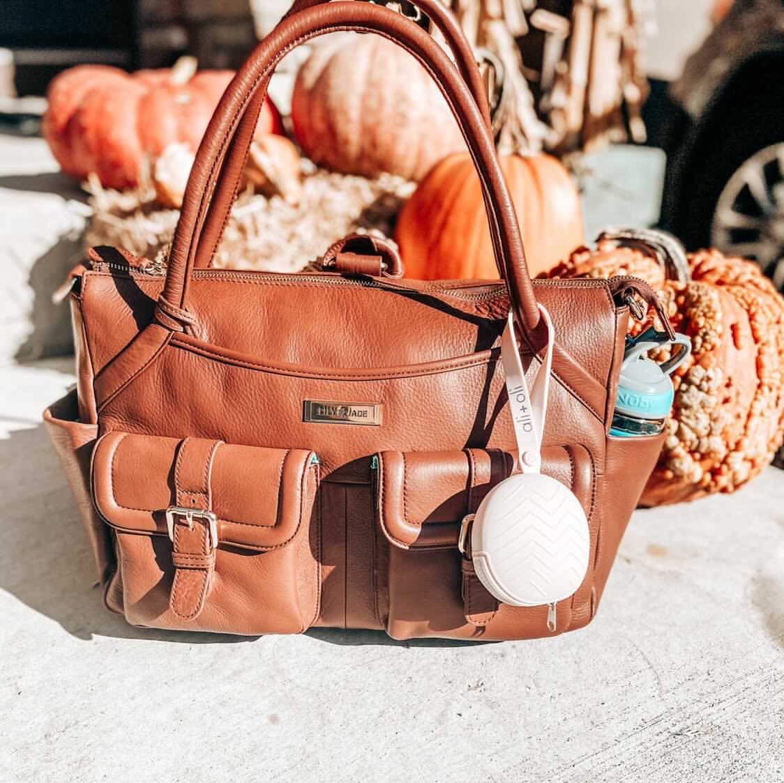 Ali+Oli Pacifier Holder Case (Lunar Rock) : Baby