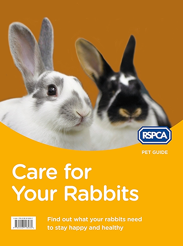 Download Care for Your Rabbits (RSPCA Pet Guide) (English Edition) PDF