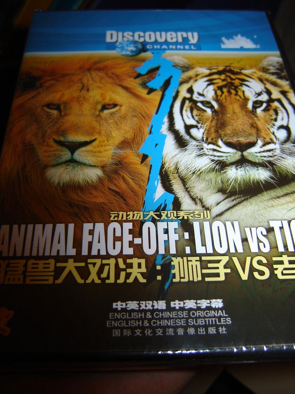 ANIMAL FACEOFF LION VS TIGER / DISCOVERY CHANNEL Geoff